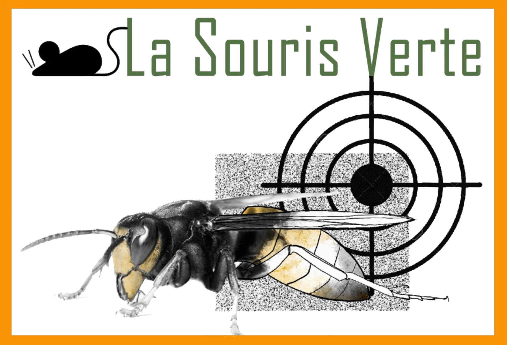 LA SOURIS VERTE 31